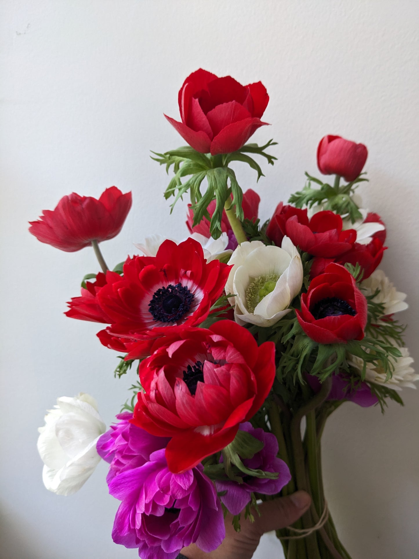 Spring Fling 2026 Flower Subscription