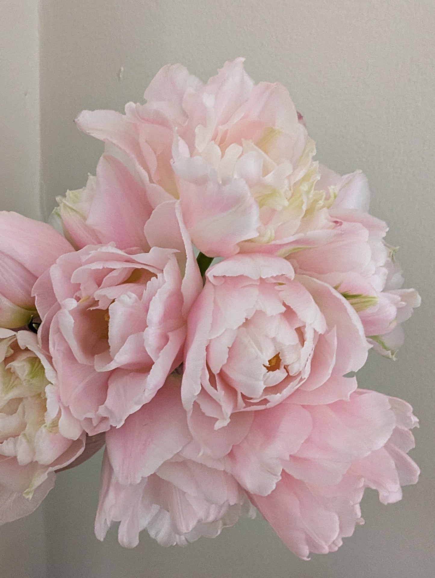 Winter Wonderland Flower Subscription 2026