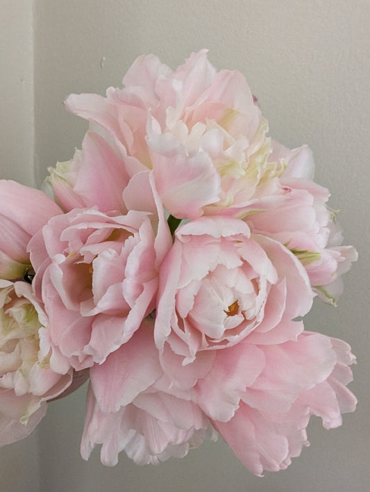 Winter Wonderland Flower Subscription 2026