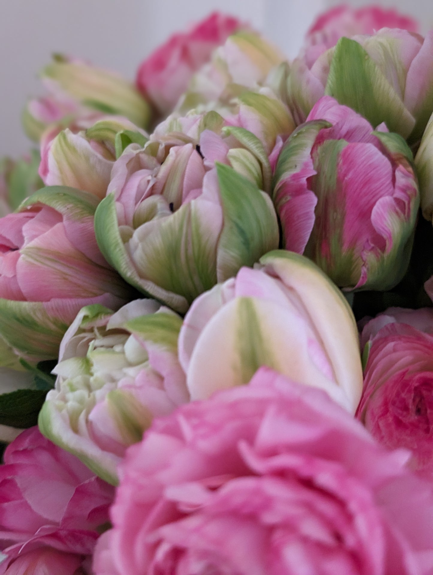 Winter Wonderland Flower Subscription 2026