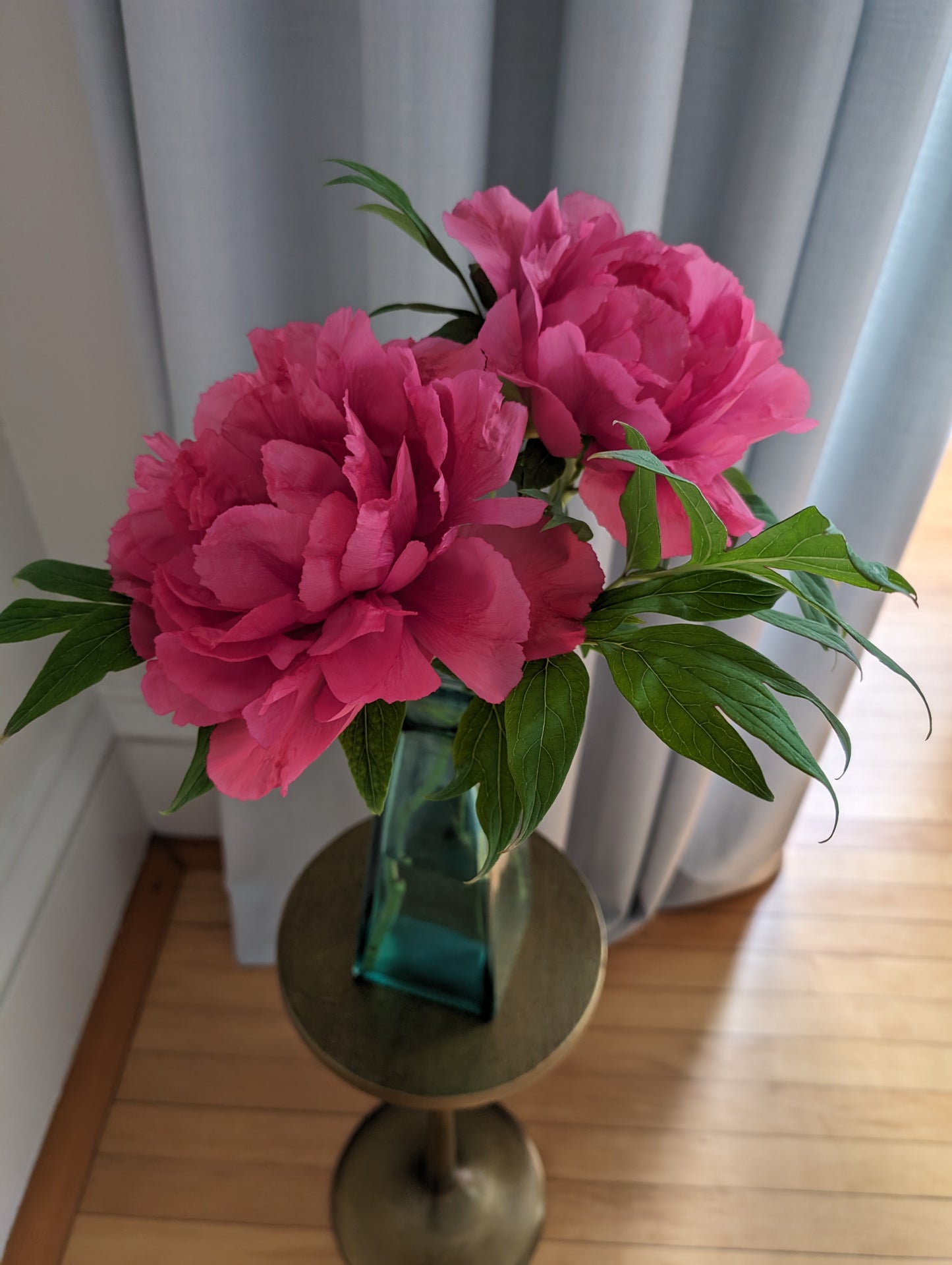Spring Fling 2026 Flower Subscription
