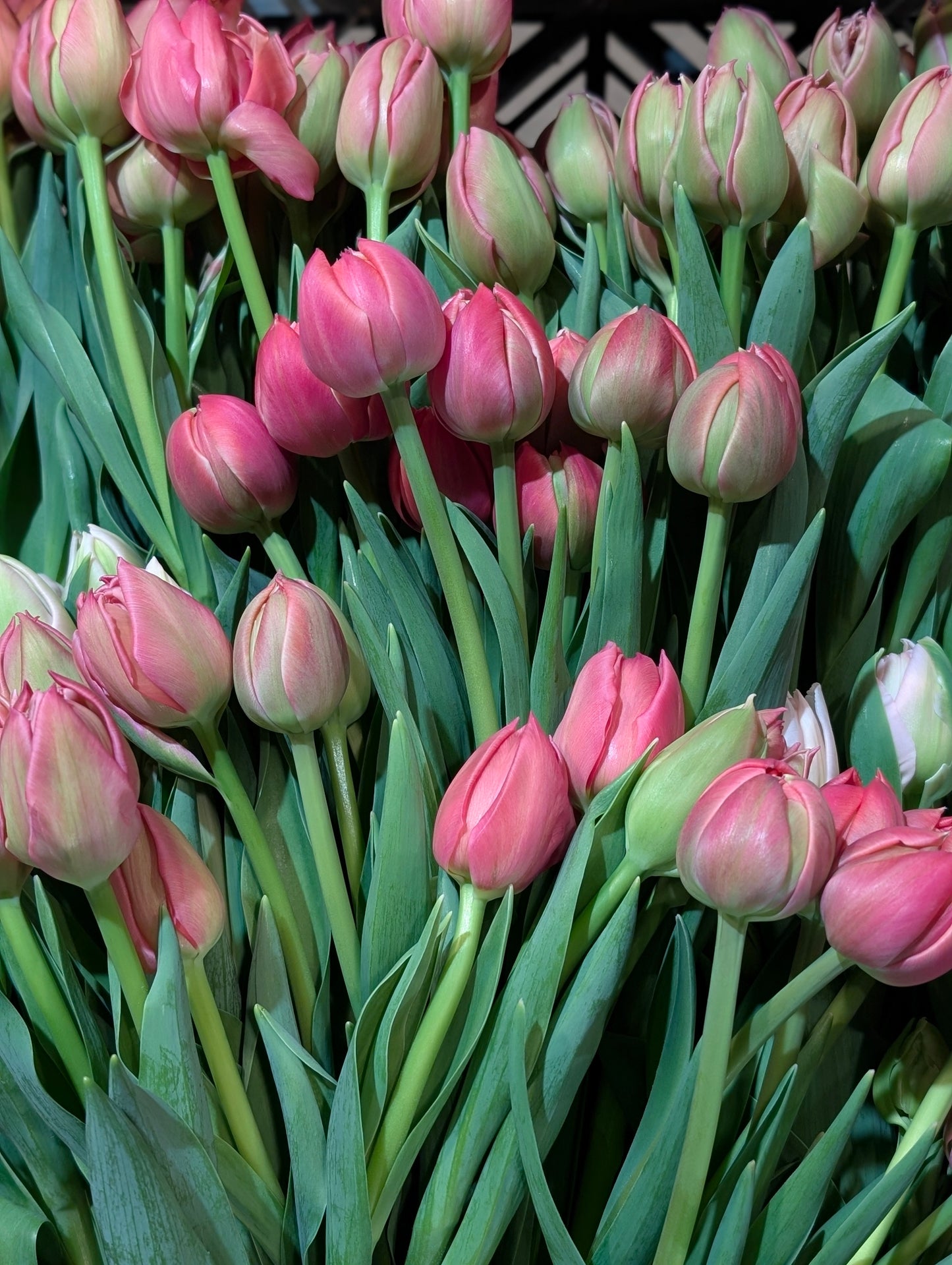 Winter Wonderland Flower Subscription 2026